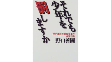 『それでも少年を罰しますか』
