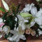 2015年中村羅針さんライブ