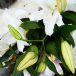 2017年中村羅針さんライブ