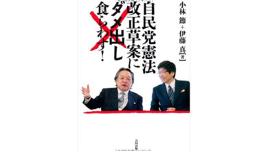 自民党憲法改正草案にダメ出し食らわす!